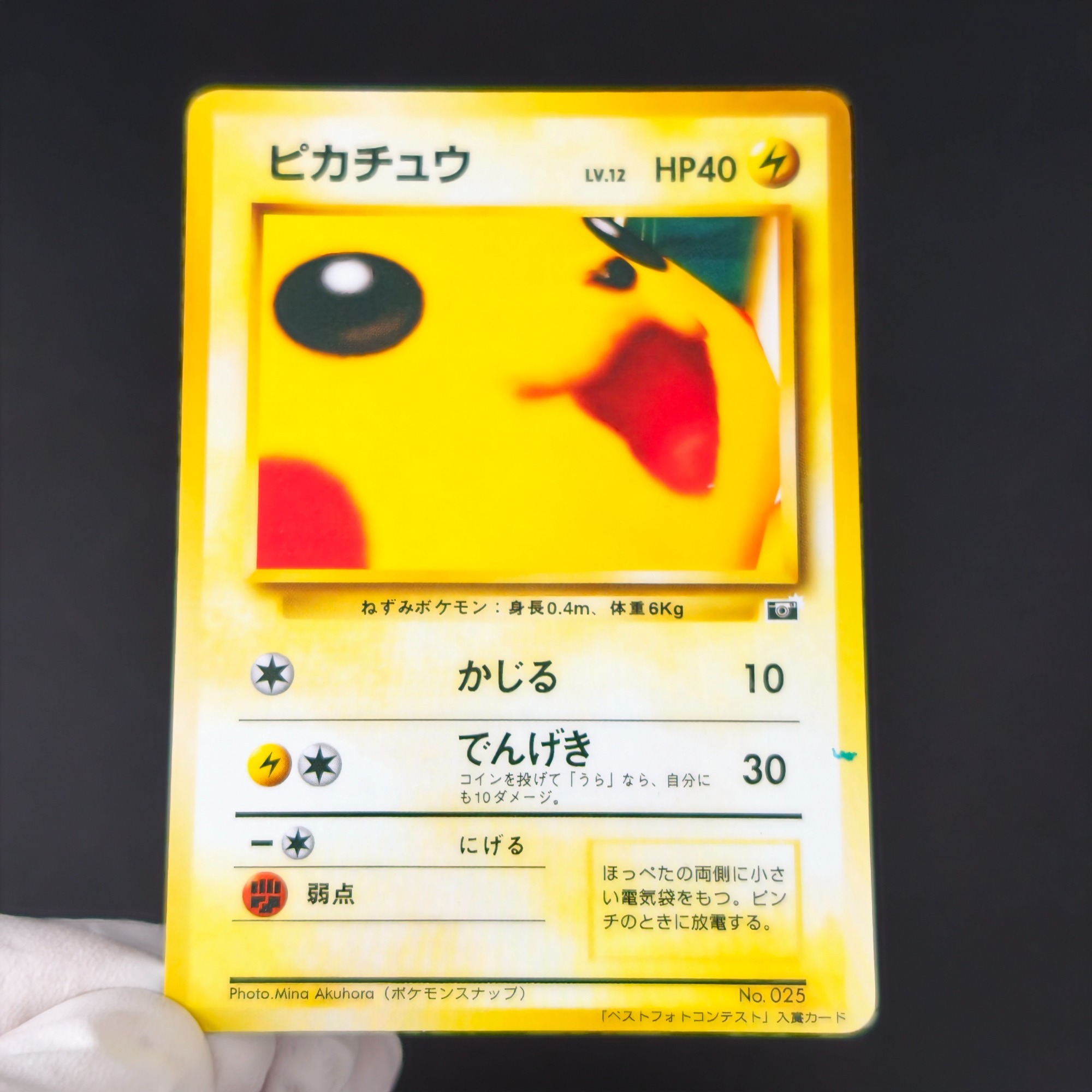 Retro Gaming Pokemon - 10PCS 포켓몬 빈티지 보이 벌바사우르스 샤르마nder