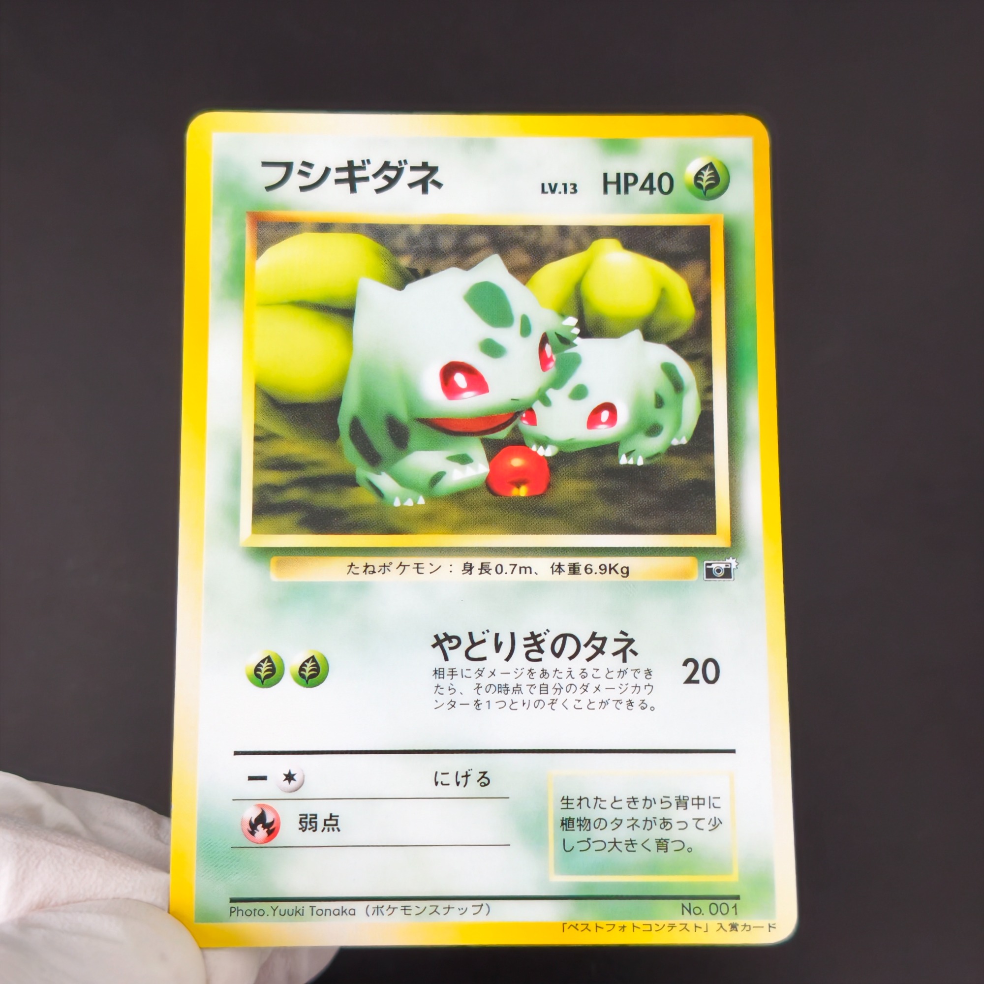 10PCS 포켓몬 빈티지 보이 벌바사우르스 샤르마nde - Retro Gaming Pokemon 리뷰 및 가격